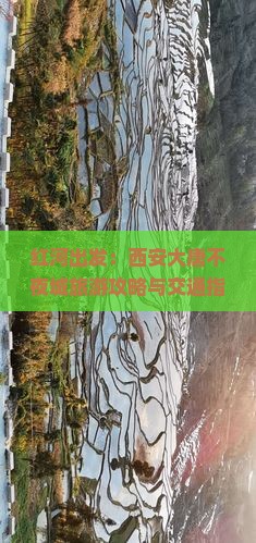 红河出发：西安大唐不夜城旅游攻略与交通指南