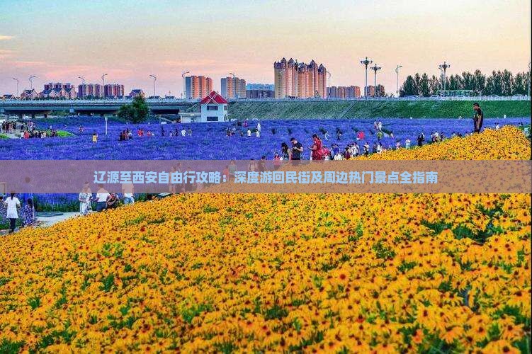 辽源至西安自由行攻略：深度游回民街及周边热门景点全指南
