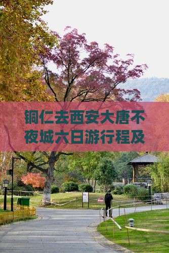 铜仁去西安大唐不夜城六日游行程及费用一览