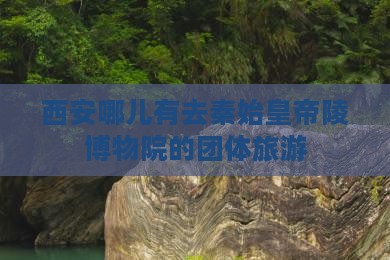 西安哪儿有去秦始皇帝陵博物院的团体旅游