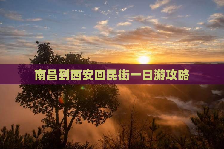 南昌到西安回民街一日游攻略