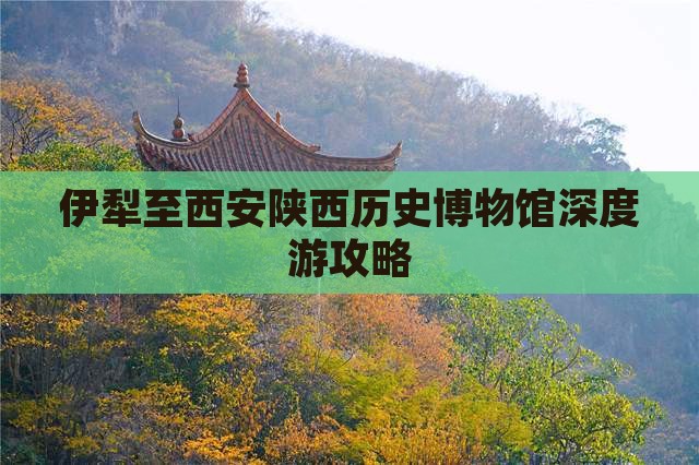 伊犁至西安陕西历史博物馆深度游攻略