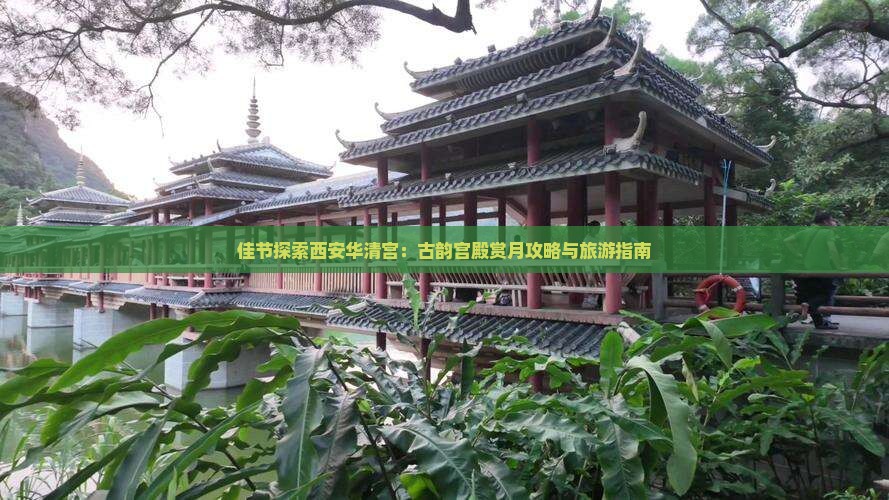 佳节探索西安华清宫：古韵宫殿赏月攻略与旅游指南