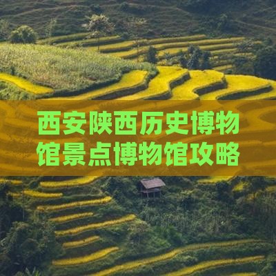西安陕西历史博物馆景点博物馆攻略