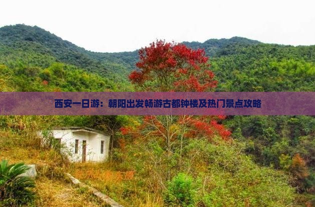 西安一日游：朝阳出发畅游古都钟楼及热门景点攻略