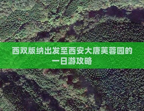 西双版纳出发至西安大唐芙蓉园的一日游攻略