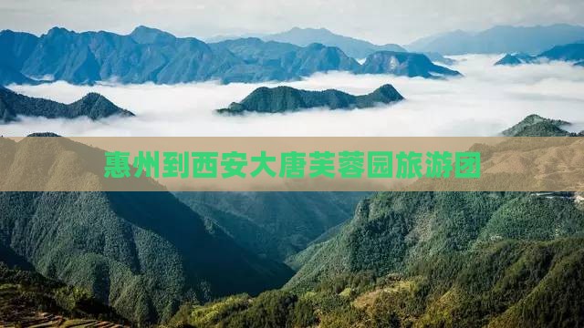 惠州到西安大唐芙蓉园旅游团