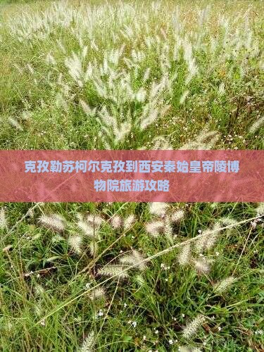 克孜勒苏柯尔克孜到西安秦始皇帝陵博物院旅游攻略