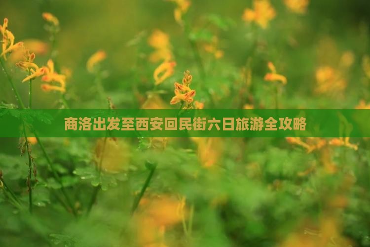 商洛出发至西安回民街六日旅游全攻略