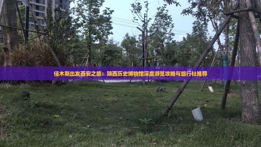 佳木斯出发西安之旅：陕西历史博物馆深度游览攻略与旅行社推荐