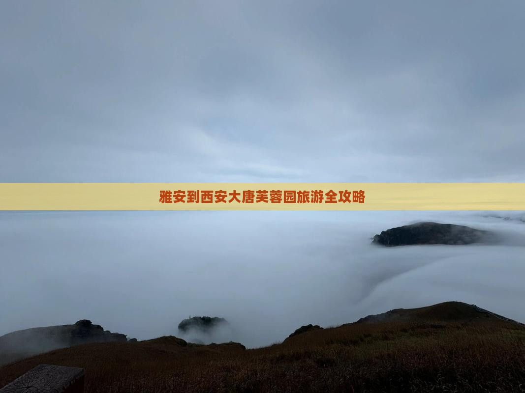 雅安到西安大唐芙蓉园旅游全攻略