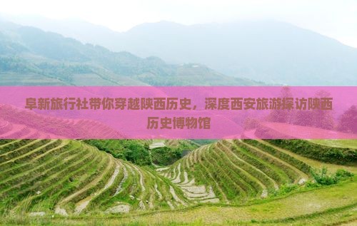 阜新旅行社带你穿越陕西历史，深度西安旅游探访陕西历史博物馆