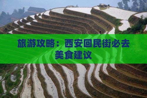 旅游攻略：西安回民街必去美食建议