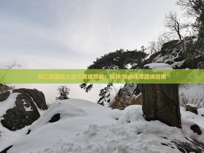 铜仁到西安大唐不夜城攻略：高铁+景点详尽路线指南