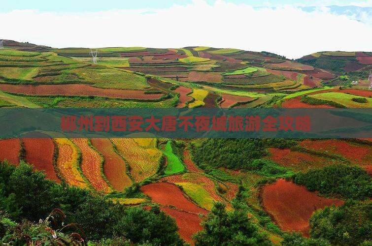 郴州到西安大唐不夜城旅游全攻略