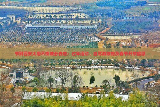 节到西安大唐不夜城必去地：过年活动、自驾游攻略及春节开放信息