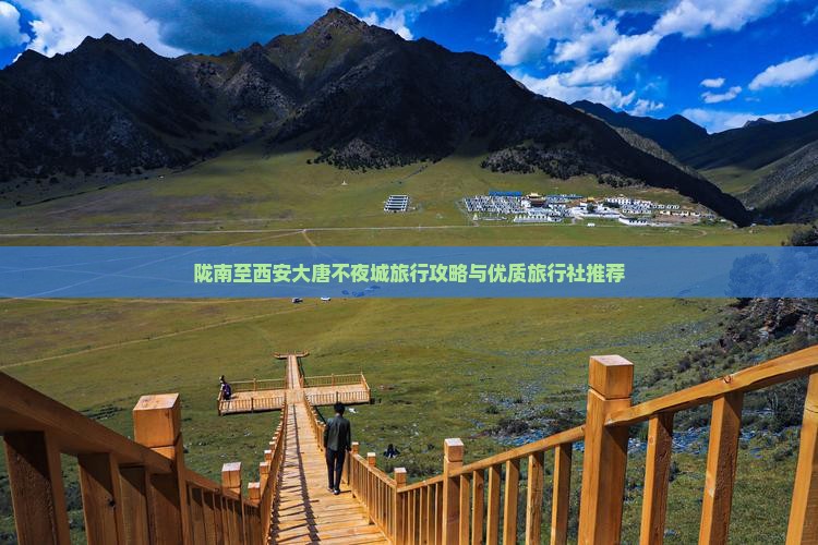 陇南至西安大唐不夜城旅行攻略与优质旅行社推荐