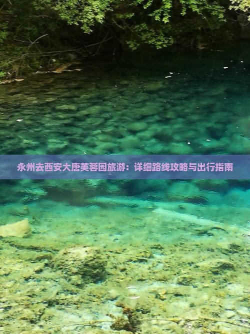 永州去西安大唐芙蓉园旅游：详细路线攻略与出行指南