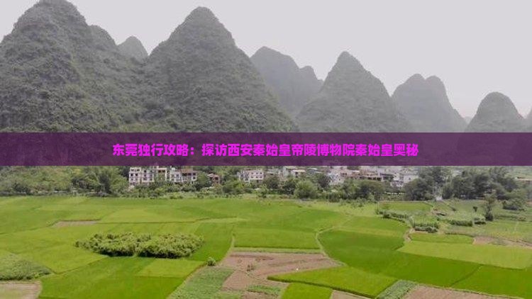 东莞独行攻略：探访西安秦始皇帝陵博物院秦始皇奥秘