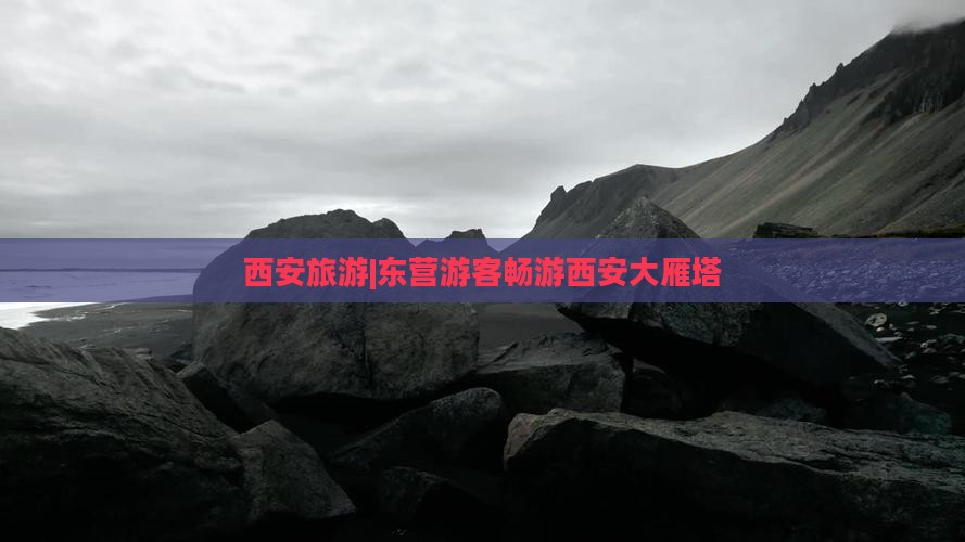 西安旅游|东营游客畅游西安大雁塔