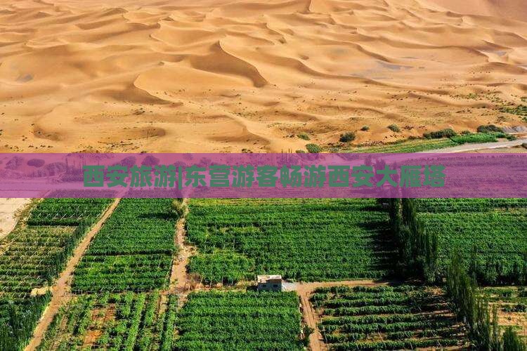 西安旅游|东营游客畅游西安大雁塔