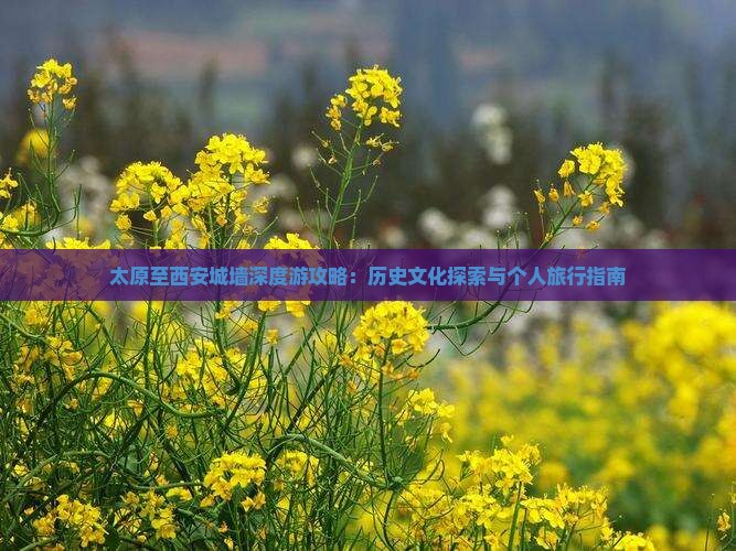 太原至西安城墙深度游攻略：历史文化探索与个人旅行指南