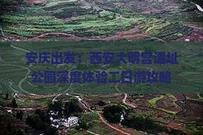 安庆出发：西安大明宫遗址公园深度体验二日游攻略