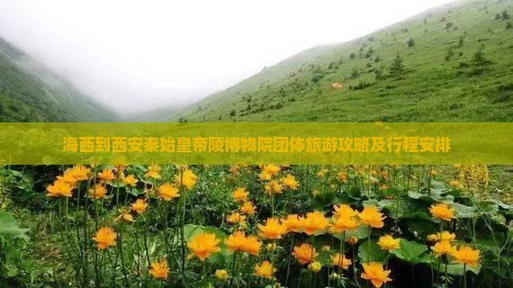 海西到西安秦始皇帝陵博物院团体旅游攻略及行程安排