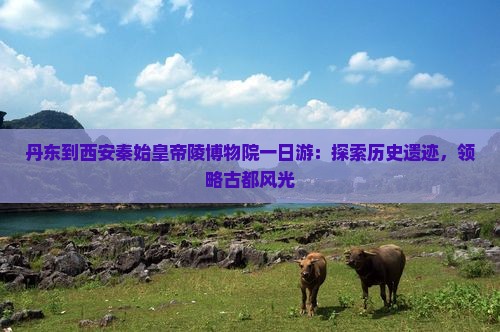 丹东到西安秦始皇帝陵博物院一日游：探索历史遗迹，领略古都风光