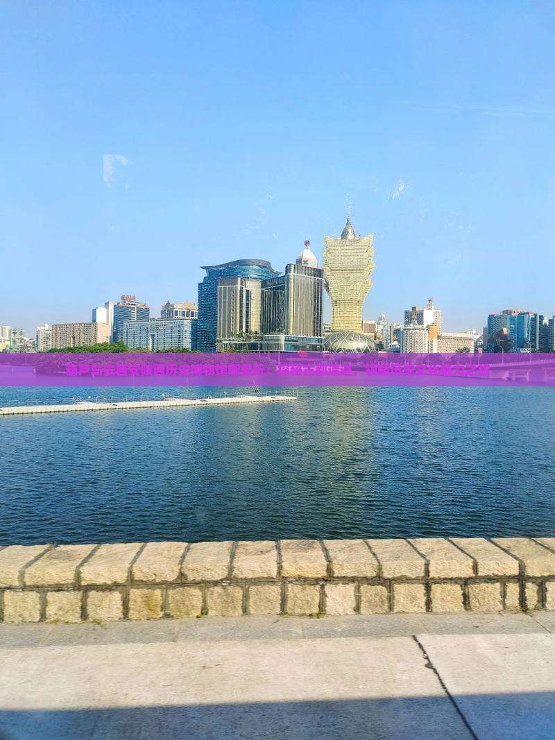 葫芦岛去西安陕西历史博物馆哪里玩：探秘古都遗迹，领略历史文化魅力之旅