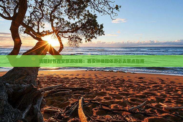 清明时节西安旅游攻略：西安钟楼团体游必去景点指南