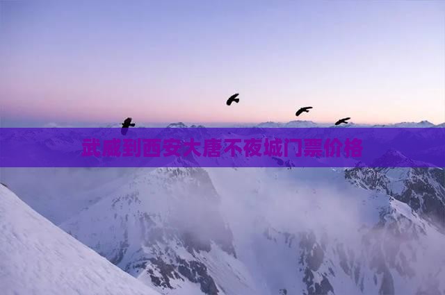 武威到西安大唐不夜城门票价格