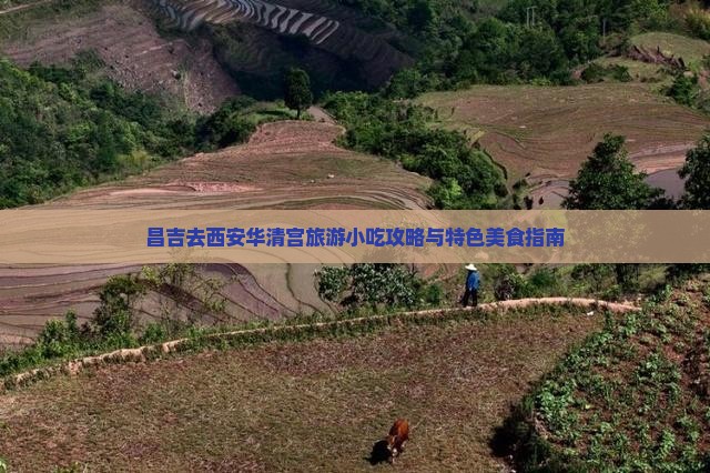 昌吉去西安华清宫旅游小吃攻略与特色美食指南
