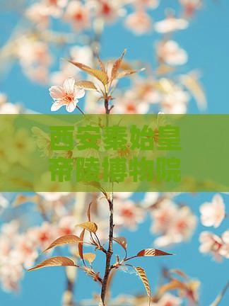 西安秦始皇帝陵博物院五日游