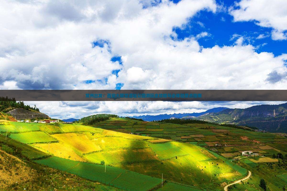 常州出发：西安大明宫遗址公园游玩全攻略与必体验景点指南