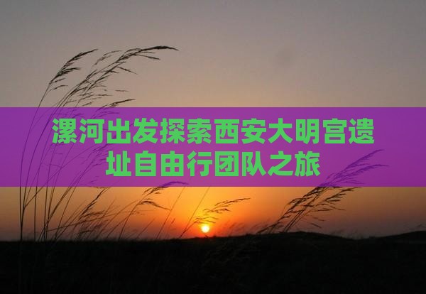漯河出发探索西安大明宫遗址自由行团队之旅