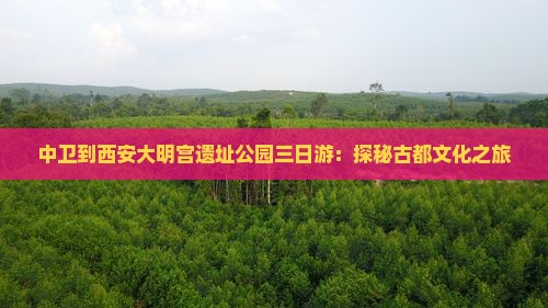 中卫到西安大明宫遗址公园三日游：探秘古都文化之旅