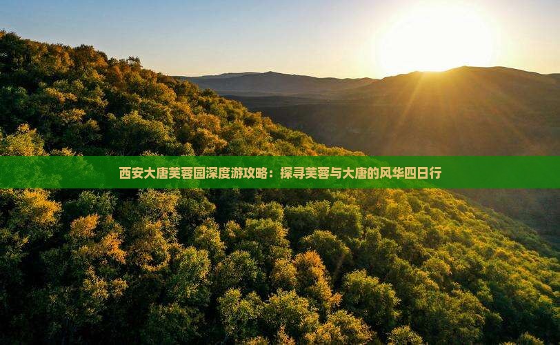 西安大唐芙蓉园深度游攻略：探寻芙蓉与大唐的风华四日行