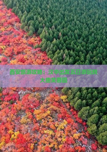 西安旅游攻略：汉中出发五日游玩转大唐芙蓉园