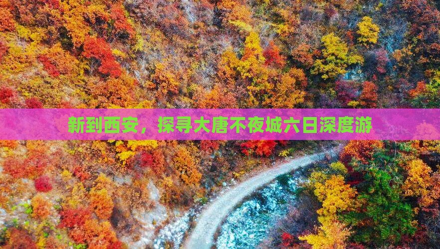 新到西安，探寻大唐不夜城六日深度游