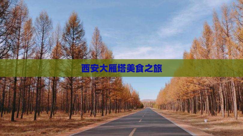 西安大雁塔美食之旅
