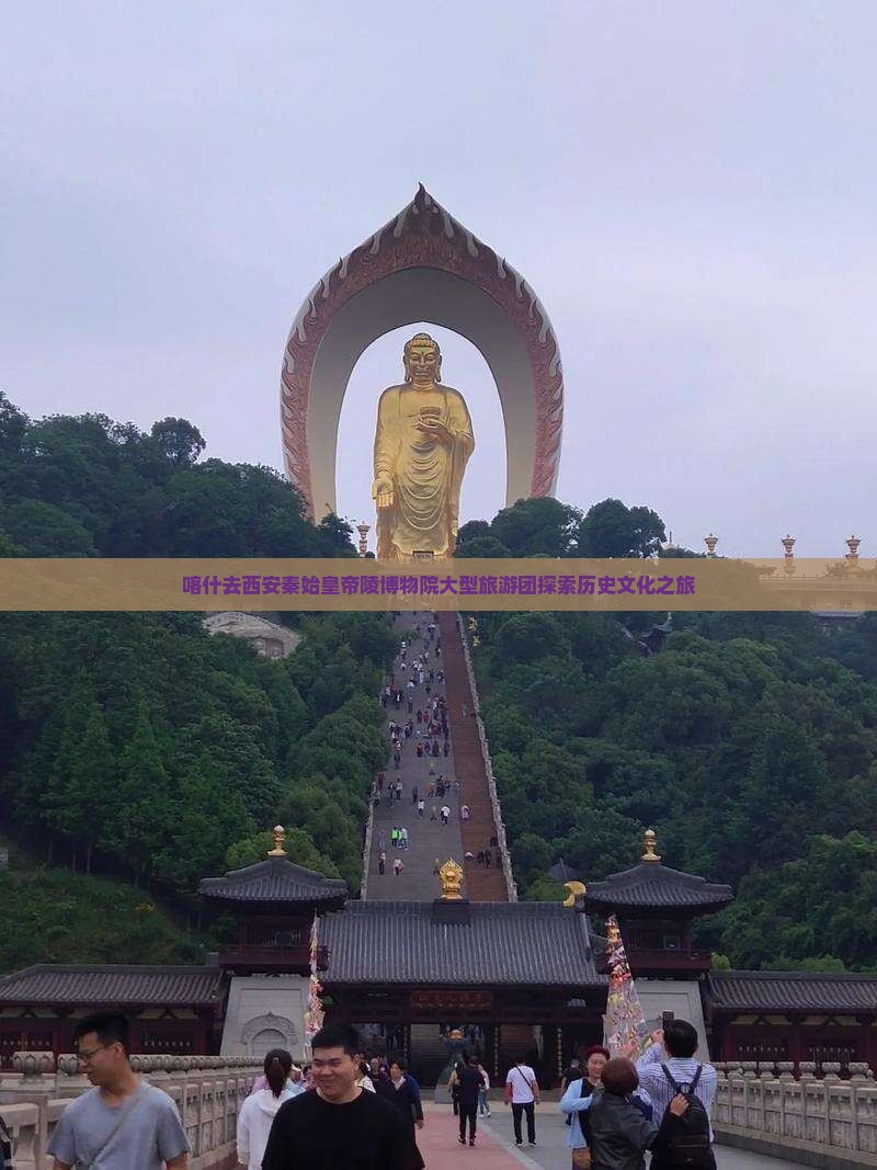 喀什去西安秦始皇帝陵博物院大型旅游团探索历史文化之旅