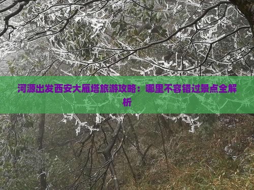 河源出发西安大雁塔旅游攻略：哪里不容错过景点全解析