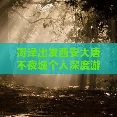 菏泽出发西安大唐不夜城个人深度游攻略