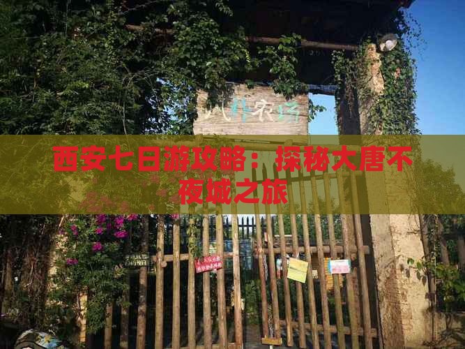 西安七日游攻略：探秘大唐不夜城之旅
