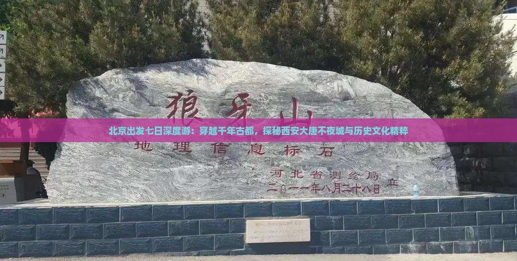 北京出发七日深度游：穿越千年古都，探秘西安大唐不夜城与历史文化精粹