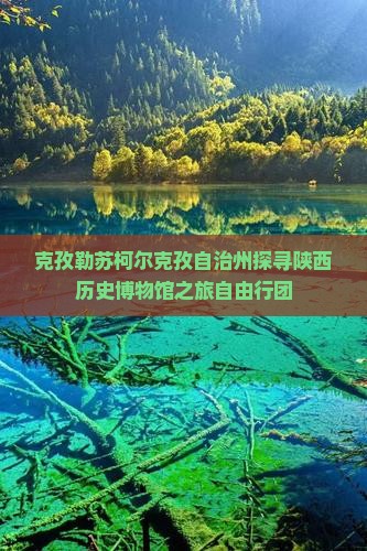 克孜勒苏柯尔克孜自治州探寻陕西历史博物馆之旅自由行团