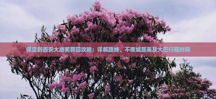 保定到西安大唐芙蓉园攻略：详解路线、不夜城距离及大巴行程时间