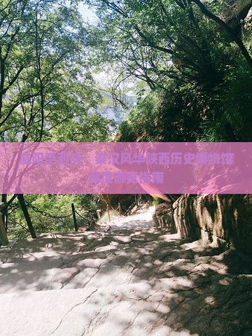咸阳至西安：秦汉风华陕西历史博物馆深度游览指南