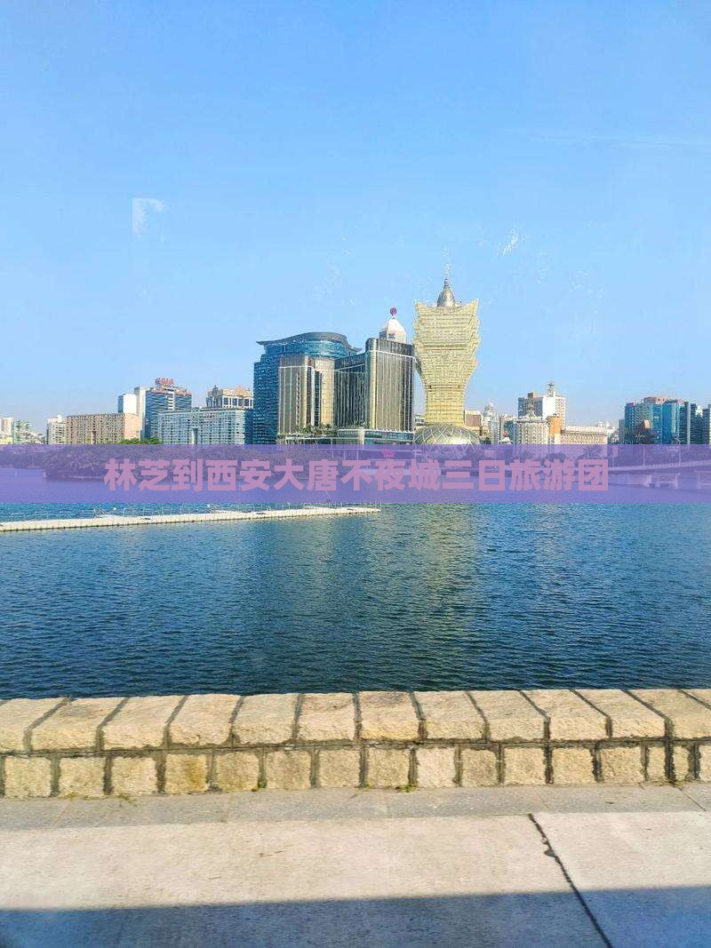 林芝到西安大唐不夜城三日旅游团